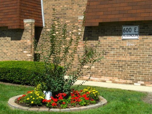 Self Help Closet and Pantry of Des Plaines