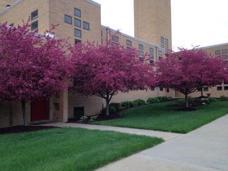 The Beatrice Community Food Pantry