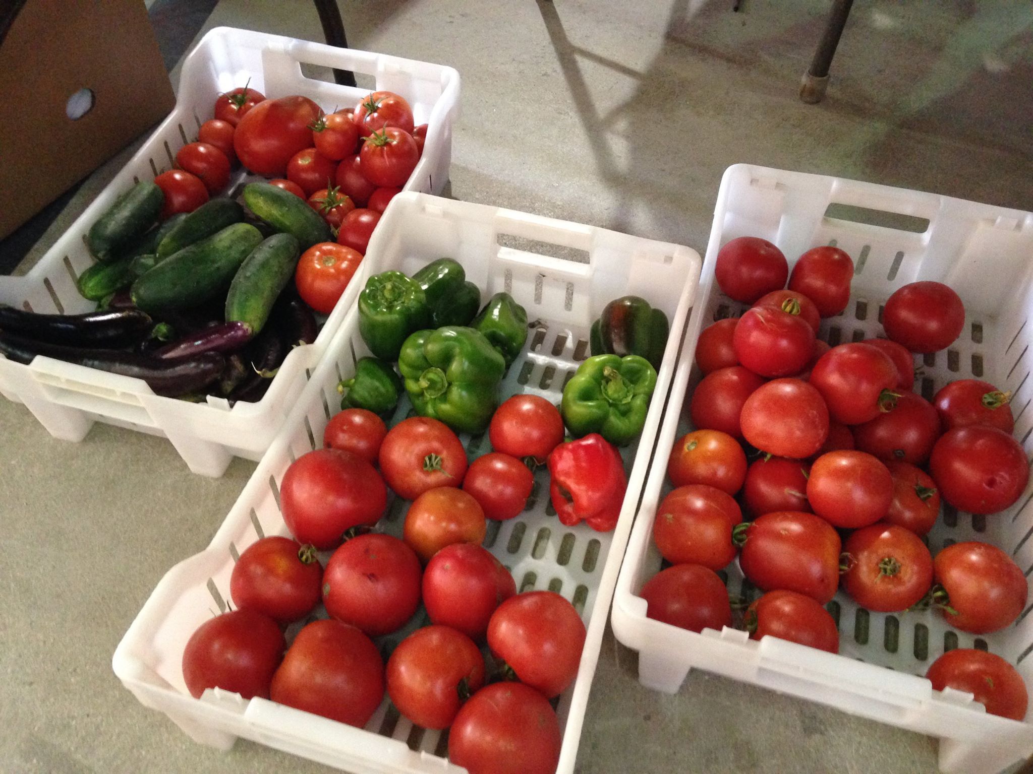 TRF Area Food Shelf