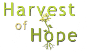 Harvest of Hope - New Life Assembly