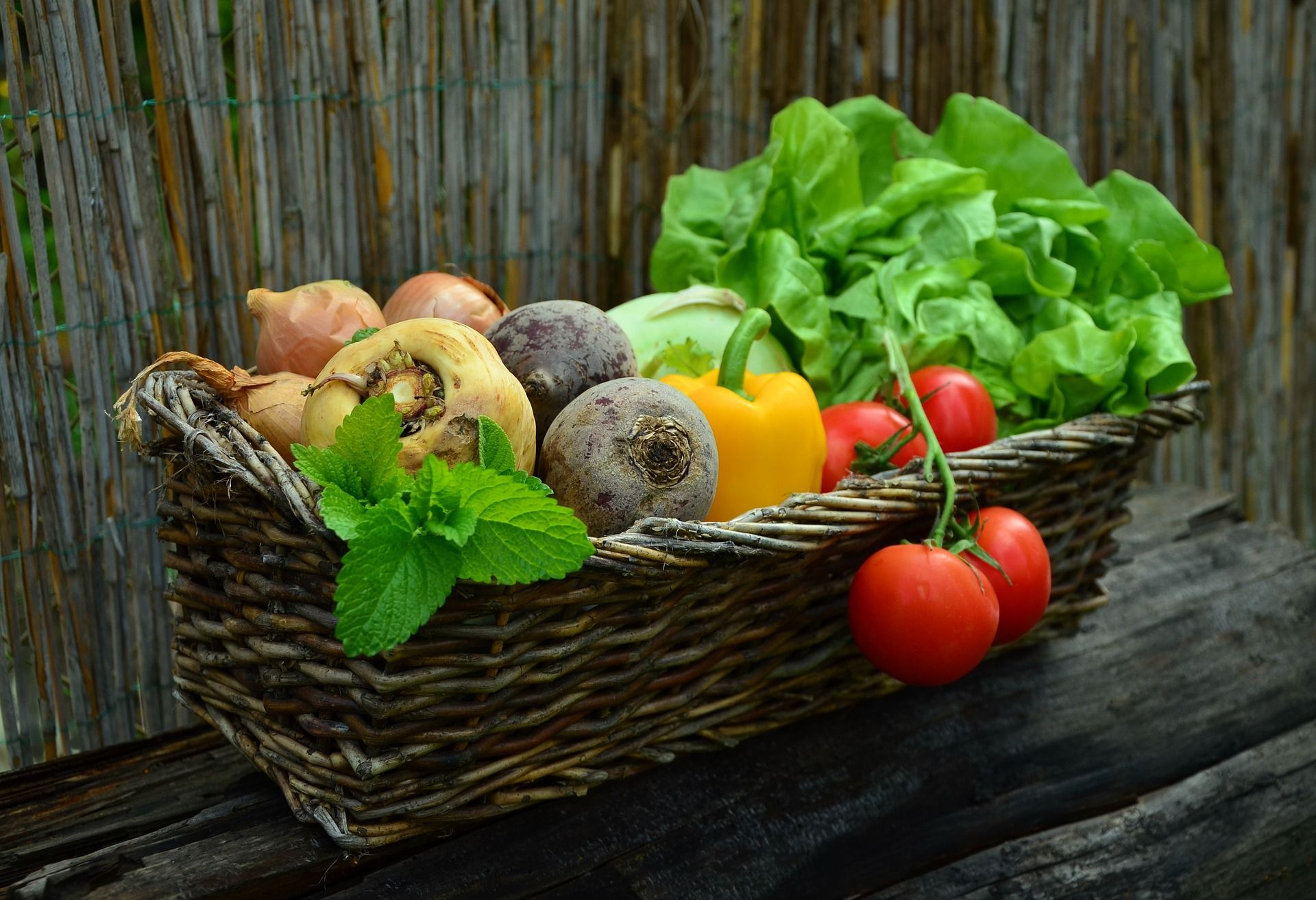 The Machias Food Pantry