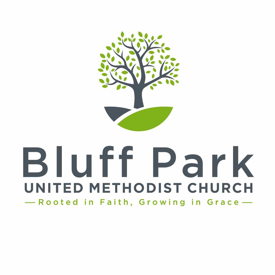 Bluff Park UMC Food Pantry