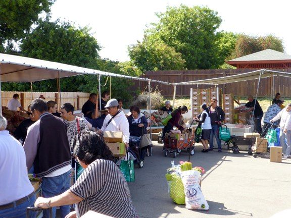 Samoan Lutheran Feeding Ministry 