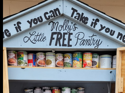 Molly's Little Free Pantry