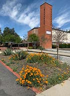 Food Pantry at First Presbyterian Church of San Bernardino