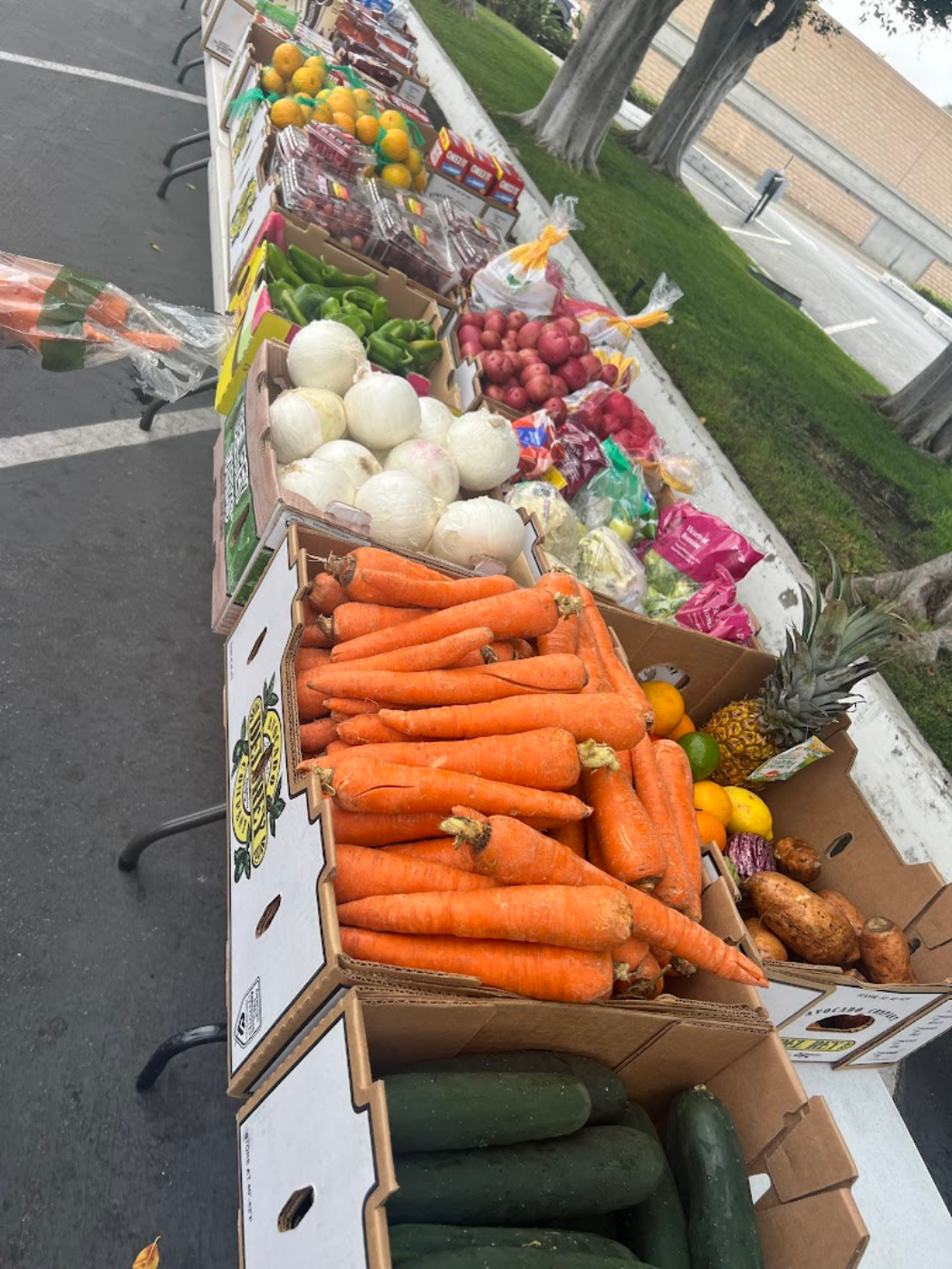 COA Food Connection Food Pantry